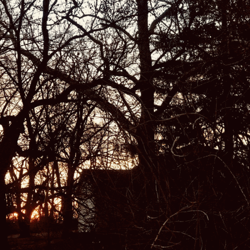 Meadows Of Melancholy : Cessation